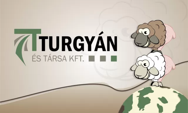 turgy├ín ├ęs t├írsa kft log├│